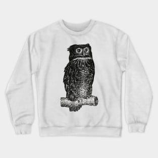 Vintage Owl  Sketch Crewneck Sweatshirt